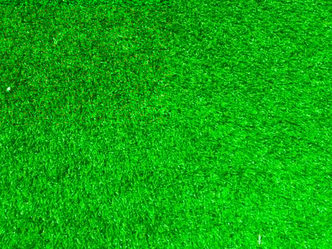 Green grass texture use as natural background. Wallpaper for design artwork photo