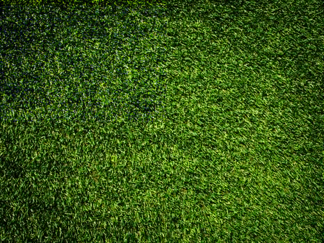Green grass texture use as natural background. Wallpaper for design artwork photo