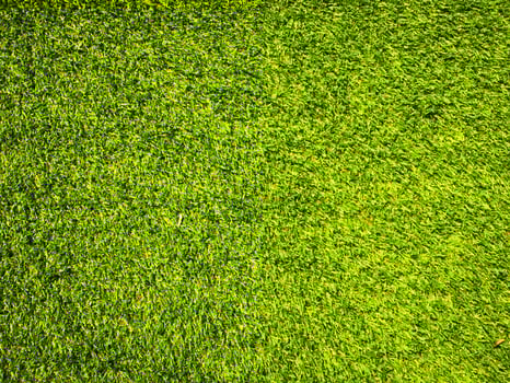 Green grass texture use as natural background. Wallpaper for design artwork photo