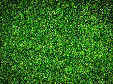 Nature green grass texture background for design. Eco concept. photo
