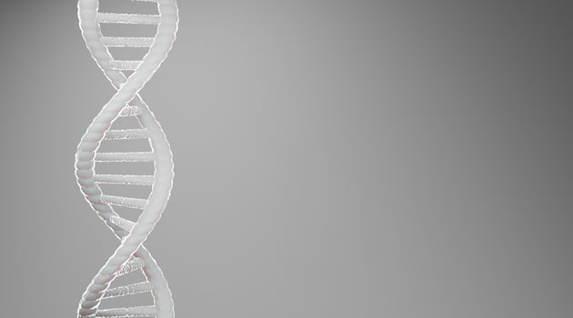 White DNA structure abstract on grey background, 3D rendering. photo