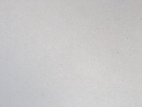 White paper texture background with copy space for design. nature concept photo