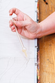 contour drawing on silk photo