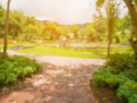 Walkway in the flowers garden blur background photo