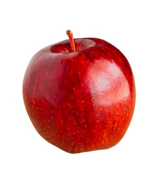 Fresh red apple isolated on white background photo