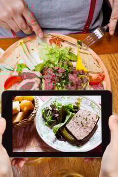 tourist photographs of french meat pate photo