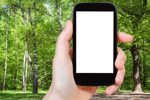 naturalist photographs trees in forest clearing photo