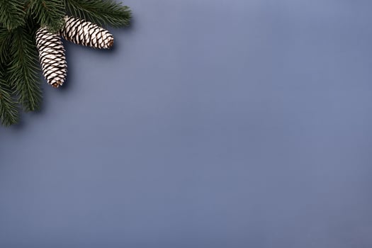 Christmas Mockup with fir branches and cones photo