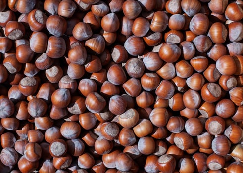 hazelnut background, healthy food concept, food background, heap of  raw hazelnuts. of fresh raw hazelnuts photo