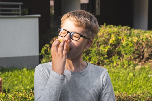 Portrait of schoolboy with glasses sitting on bench outdoors and eating apple. photo