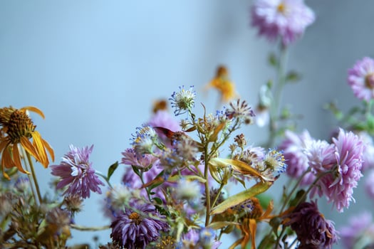 Colorful close-up of dried flowers, withered and withered flowers on a light background, selective focus, copyspace photo