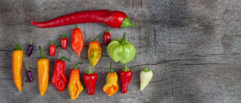 wooden background with colorful mix hot and sweet peppers of various shapes photo