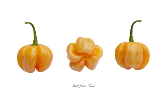 pepper of the Best from the East variety from three different sides on a white background photo