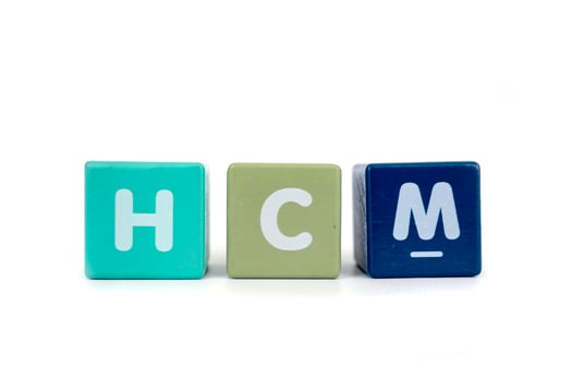 human capital management is a concept of human resource management photo