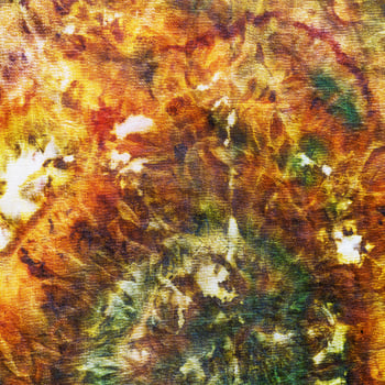 fragment of painting on silk batik photo