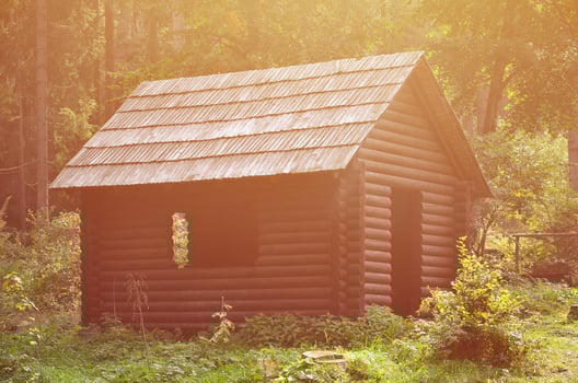 Small natural house, which is built of wood. The building is located in the forest photo