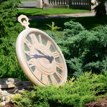 Street clock in a park under branches of trees close up photo