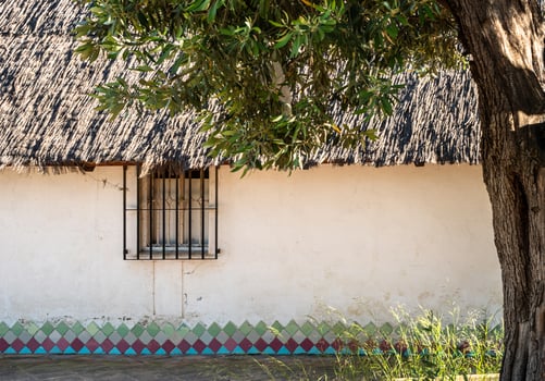 old white house with a thatched roof and a tree nearby photo