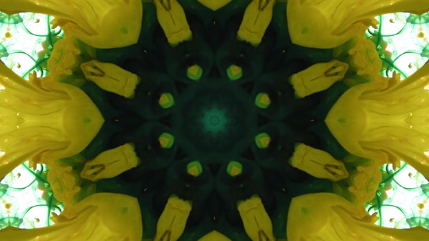 Wonderful Kaleidoscope Backgrounds Created From Colorful Ink Paint Spread photo