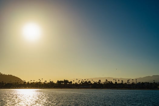 Santa Barbara beach with palm trees photo