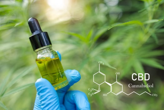 CBD elements, Hand holding Pipette with cannabis oil against Cannabis plant. CBD oil hemp products, Medicinal marijuana with extract oil in a bottle. Medical marijuana concept photo