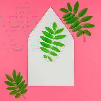 White letter mock up with fresh green leaves photo