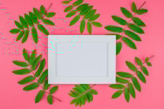 Frame mock up with fresh green leaves photo