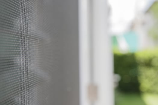 mosquito net wire screen on house window protection against insect photo