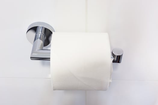 A Fresh Toilet paper roll on a steel hanger photo