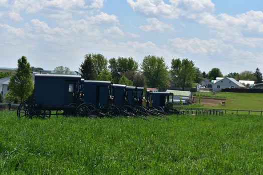 Amish Carriages Parked in a Field in Lancaster County photo