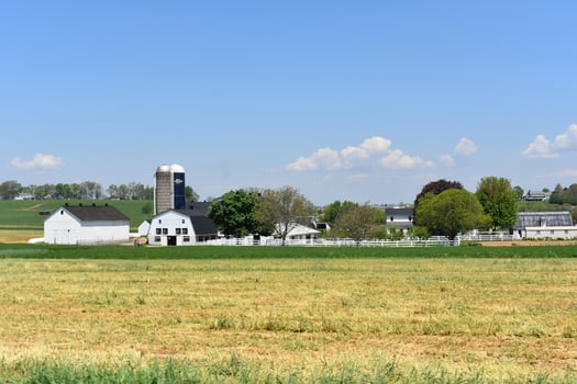 White Farm Out Buildings on a Farm in Pennsylvania photo
