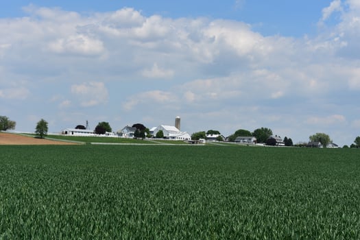 Pastures and Fields Surrounding a Farm in Pennsylvania photo