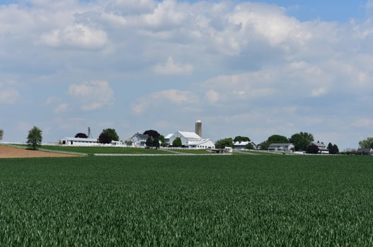 Farmland in the Countryside with Gorgeous Fields photo