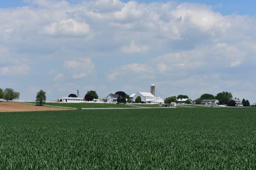 Amish Farm in Lancaster County Pennsylvania with Gorgeous Pastures photo
