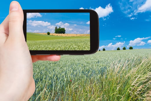 tourist taking photo of summer country landscape