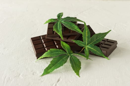 Marijuana leaves and dark chocolate on white wooden background photo