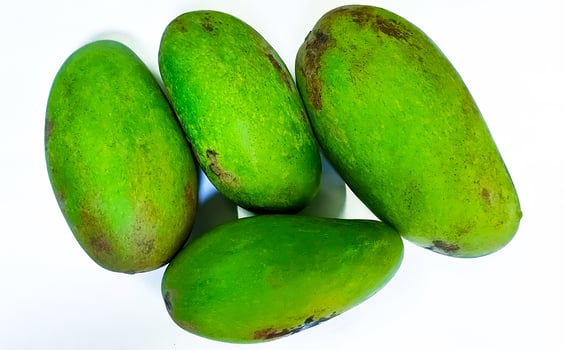 Fresh green mango fruit isolated on white background photo