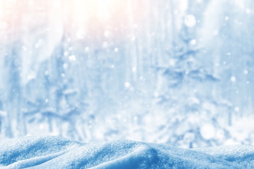Frozen winter forest with snow covered trees. photo