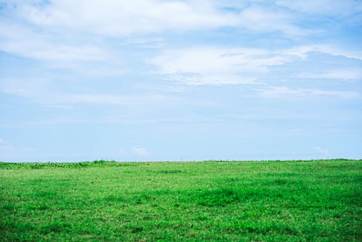 Beautiful landscape of Green field and white clouds copy space for text or design photo
