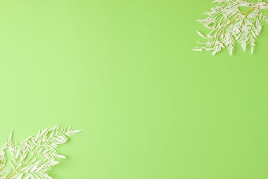 Cosmetic background with flowers on green. Flat lay, copy space photo