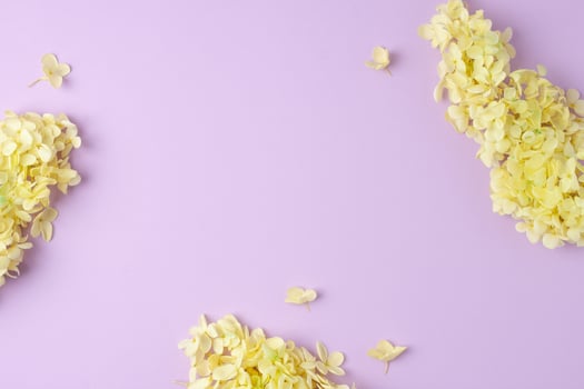 Cosmetic background with flowers on rose. Flat lay, copy space photo