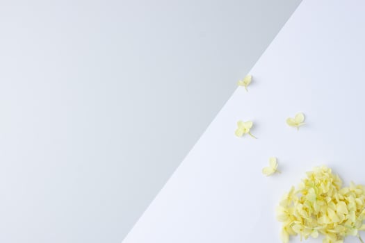 Cosmetic background with flowers on grey and white. Flat lay, copy space photo