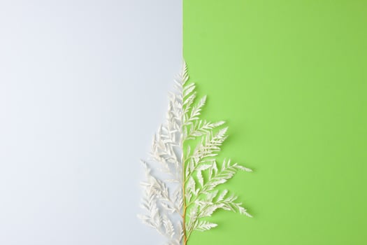 Cosmetic background with flowers on grey and green. Flat lay, copy space photo