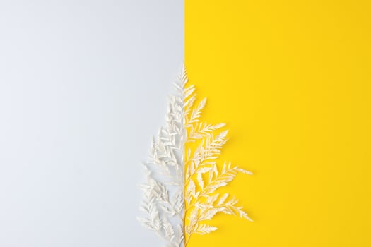 Cosmetic background with flowers on grey and yellow. Flat lay, copy space photo
