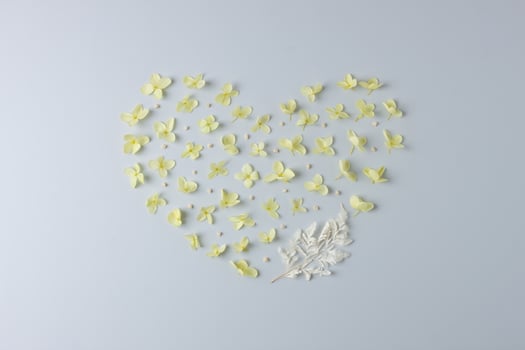 Cosmetic natural background with flowers on grey. Flat lay, copy space photo