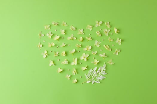 Cosmetic natural background with flowers on green. Flat lay, copy space photo
