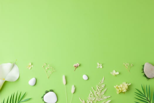 Cosmetic background with flowers, moss and stone on green. Flat lay, copy space photo