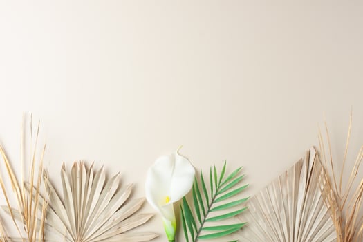 Tropical natural background with palm leaf and flower on pastel beige. Flat lay, copy space photo