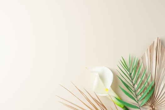 Tropical natural background with palm leaf and flower on pastel beige. Flat lay, copy space photo