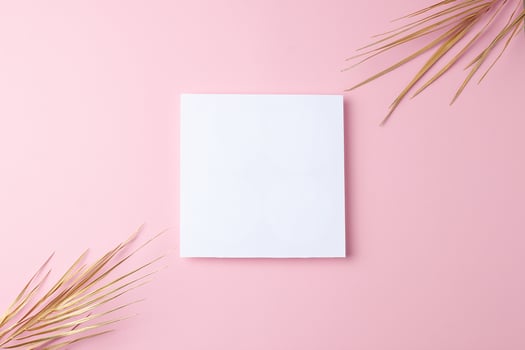 Minimal composition with palm leaf on pink background. Flat lay, copy space photo